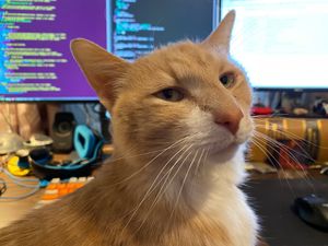 {{title}} - feature image